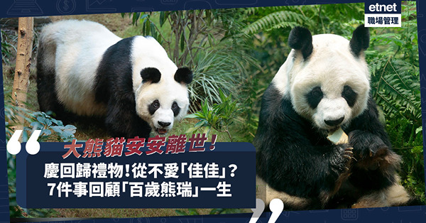 大熊貓安安離世｜陪伴港人23年！A0「安安」從不愛「佳佳」？咬傷飼養員小腿成熱話？7件事回顧「百歲熊瑞」一生