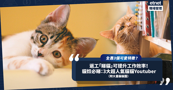 返工睇貓主子相片、影片可提升工作效率逾4成！全靠3個可愛特徵？推介3個人氣爆燈的貓貓Youtuber！貓奴必睇！（內附大量貓貓圖）
