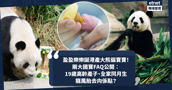 盈盈樂樂誕港產大熊貓寶寶！兩大國寶FAQ公開︰8.11才確認盈盈懷孕！19歲高齡產子、全家同為8月壽星！龍鳳胎去向係點？新生熊貓生活照首次曝光