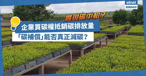 實現碳中和？企業買「碳權」抵銷碳排放量！「碳補償」是漂綠工具、還是減碳良方？
