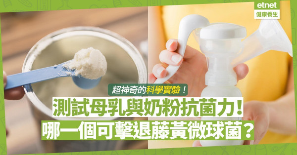 震驚媽媽的科學實驗︰測試母乳與奶粉抗菌威力！母乳能否擊退藤黃微球菌？