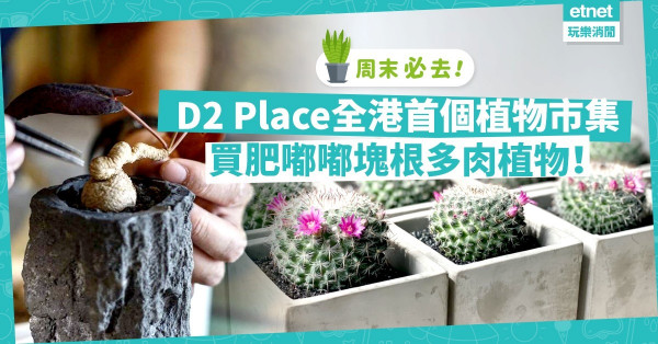 【全港首個】周末D2 Place逛植物市集！買肥嘟嘟塊根多肉植物、陶製花盆、名師畫作！19個攤位有排睇