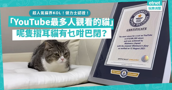 貓奴必Follow！日本摺耳貓獲健力士認證「YouTube最多人觀看的貓」！同場加映：3隻超人氣貓界KOL！