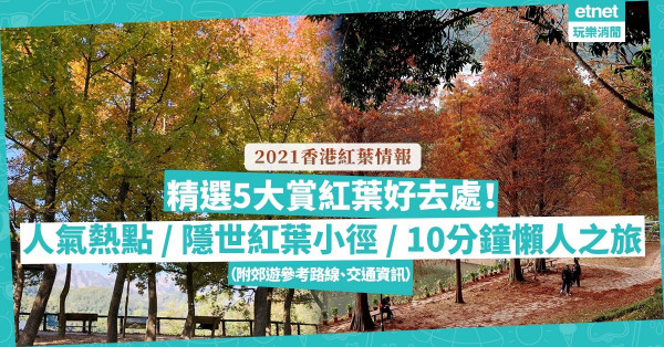 香港紅葉2021| 紅葉情報！精選本地5大賞紅葉好去處：大棠紅葉開始轉紅？中大有隱世紅葉小徑？懶人最啱去邊？（附郊遊參考路線、交通資訊）