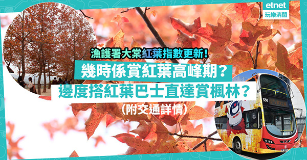 紅葉2022｜漁護署紅葉指數更新！幾時係大棠紅葉高峰期？紅葉巴士回歸！邊度上車可直達賞楓林？（附交通詳情）