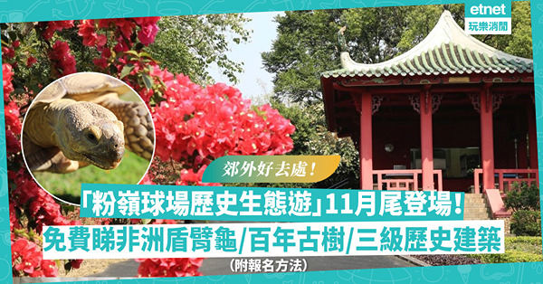 郊遊好去處 | 明天預約！免費！粉嶺哥爾夫球場歷史生態遊月底登場！專人導賞睇非洲盾臂龜／極度瀕危植物／百年古樹／三級歷史建築！（附報名方法）