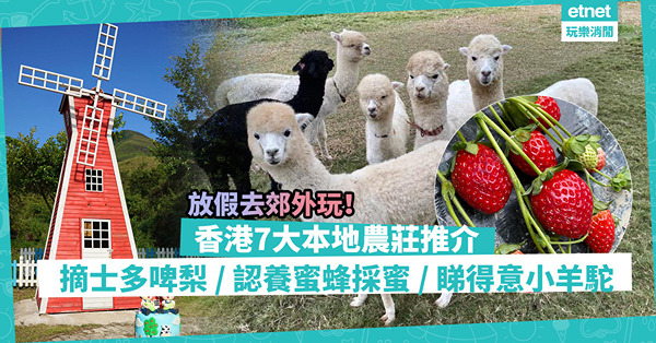 假日好去處 │郊遊玩餐飽！7大本地農莊推介！摘士多啤梨、飛索體驗、租田自耕、睇澳洲得意小羊駝、認養蜜蜂箱收集蜜糖