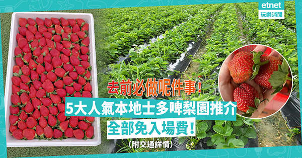 摘士多啤梨 | 5個人氣本地士多啤梨園推介！全部零入場費！邊個最抵玩？去之前有一件事必做！（附交通詳情）