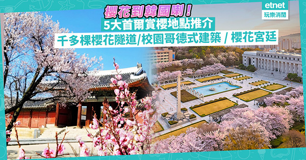韓國櫻花│5大首爾賞櫻地點推介！青春校園哥德式建築、1,000多棵櫻花樹隧道、古色古香宮廷配櫻花樹
