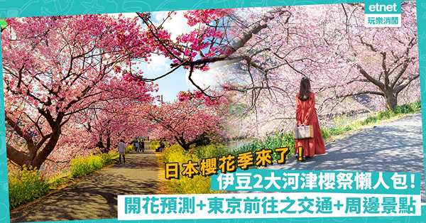 櫻花2023｜日本伊豆2大河津櫻祭懶人包！一次睇勻開花預測+東京前往之交通+周邊景點