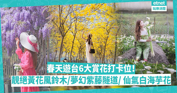 台灣旅行│春天遊台6大賞花打卡位！最美黃花風鈴木公園／夢幻紫藤花隧道／仙氣白色海芋花海／ 紅色廟宇配雪之花