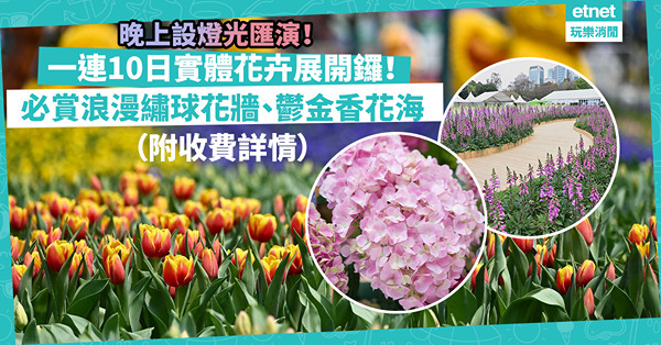 花展2023｜實體花卉展正式開鑼！必賞浪漫繡球花牆、鬱金香花海！晚上設燈光匯演！一文睇晒展期/收費/地點