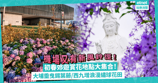 初春郊遊賞花地點大集合！大埔垂曳錫葉藤/西九增浪漫繡球花田/機場最新風鈴徑