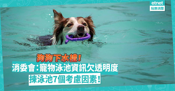消委會 ︳ 狗狗炎夏下水禮！消委會檢視室內外寵物泳池：資訊欠透明度！主子揀泳池要考慮7個因素