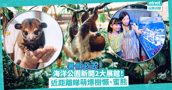 海洋公園新開2大展館！近距離睇萌爆樹懶、蜜熊／動物版世界名畫打卡／活化珊瑚中心