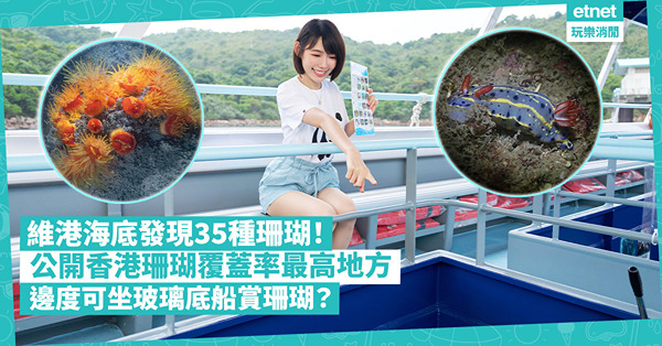 維港海底發現35種珊瑚！邊度係香港珊瑚覆蓋率最高地方？呢度可坐玻璃底船賞珊瑚！