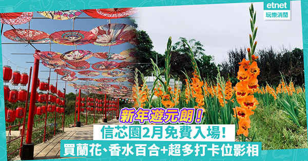 新年2024｜元朗信芯園2月指定日子免費入場！超多打卡位+買蘭花、香水百合！睇埋年花價錢