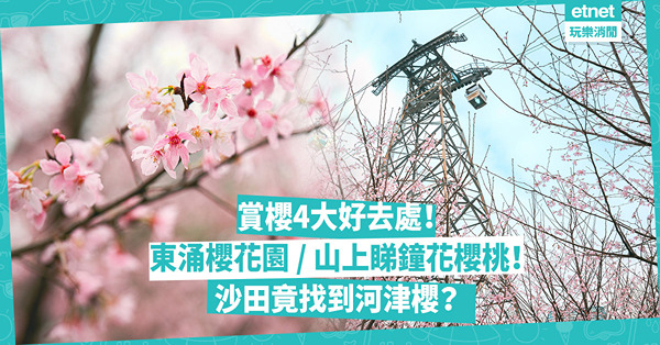 香港櫻花2024｜4大賞櫻好去處！新開東涌櫻花園/ 山上睇鐘花櫻桃+梅花！沙田竟找到河津櫻？