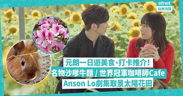 元朗好去處 |  元朗一日遊美食打卡推介！元朗公園賞杜鵑 / Anson Lo劇集取景太陽花田 / 元朗名物沙嗲牛麵 / 世界冠軍咖啡師Cafe