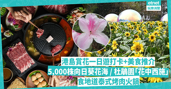 香港好去處 | 港島賞花一日遊美食、打卡推介！5,000株向日葵花海、玫瑰花園 / 杜鵑園睇「花中西施」 / 食地道泰式Mookata烤肉火鍋