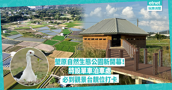 秋日郊遊︱上水塱原自然生態公園新開幕！免費入場金秋稻米田打卡？觀烏屋睇禾花雀、黑臉琵鷺？除單車停泊處，仲有兩大貼心設施 即睇交通及開放時間！