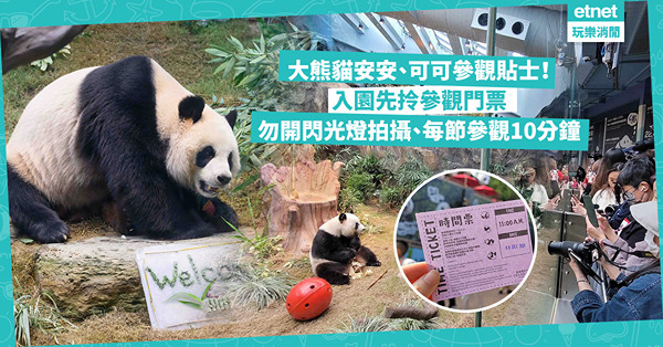 海洋公園大熊貓安安、可可亮相超可愛！每節參觀10分鐘 參觀貼士︰先拎門票、勿開閃光燈拍攝、保持安靜 官網每天直播大熊貓可愛瞬間