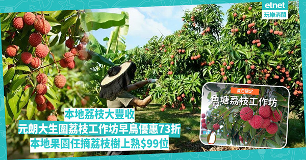 荔枝大豐收︱元朗大生圍荔枝工作坊早鳥優惠73折，本地果園任摘荔枝樹上熟$99位