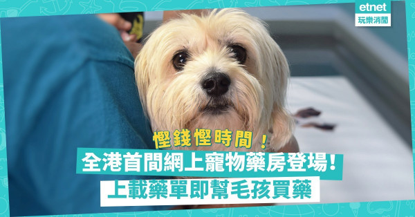 毛孩主人注意！全港首間網上寵物藥房登場！上載處方藥單，逾900種藥物直送家門，慳錢慳時間！