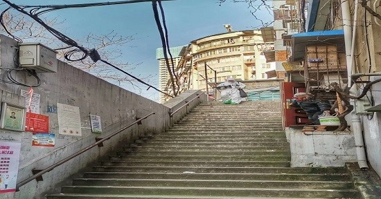 【FOCUS】疫情曲線大有啟示 中國經濟表現成引路明燈