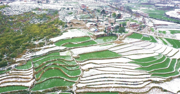 防禦性板塊上漲