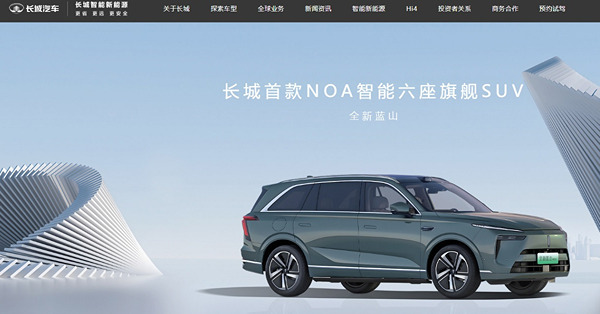 中國新能源車No.1之路