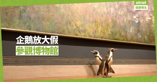 【同心抗疫】企鵝放大假 探索藝術世界