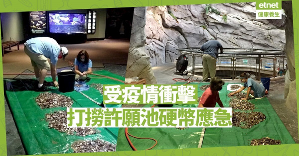 【同心抗疫】受疫情衝擊 美國水族館打撈許願池硬幣應急