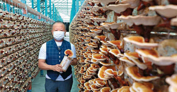 退而不休　銀髮族為理想創業記
