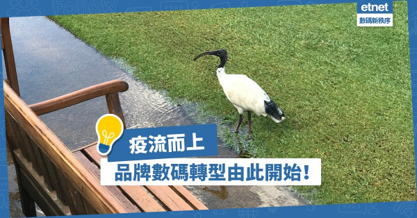 疫流而上，品牌數碼轉型由此開始！