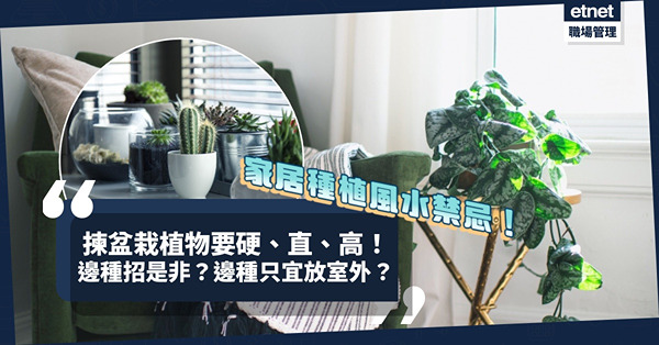家居種植風水禁忌！哪些植物品種不宜放屋企？哪種盆栽易招人事糾紛？「有花有果」可以招財、催旺愛情兼添丁？