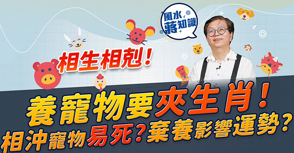 養寵物要夾生肖！貓與猴相沖，屬猴「貓奴」隨時剋死心愛毛孩？邊個生肖不宜養狗？棄養會影響運勢？