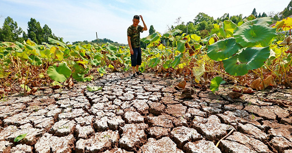全球乾旱危機，水資源或誘發國際干戈
