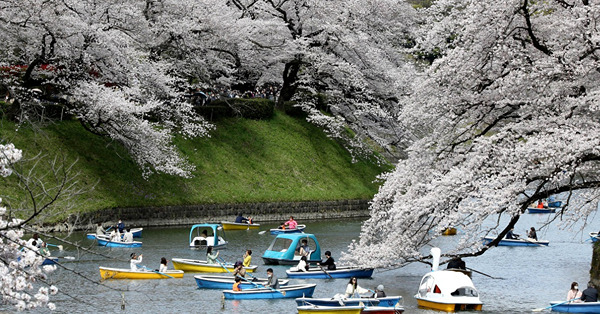  核災時代的「美麗日本」