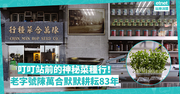 叮叮站前的神秘菜種行！點解菜種行集中在干諾道西？要從60年代講起！老字號陳萬合兩代默默耕耘83年