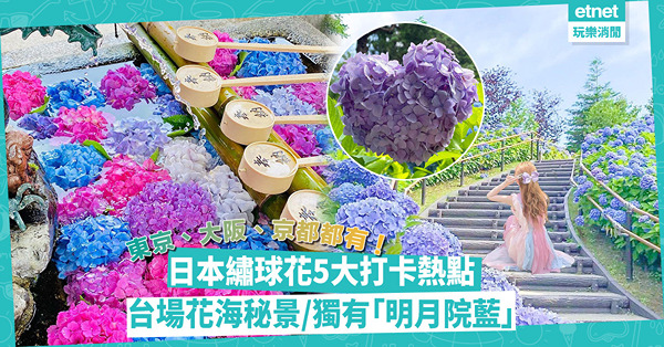 繡球花2023｜日本夏日賞花地圖︰台場花海打卡秘景/夢幻花花玻璃球！邊度睇到心形繡球花？