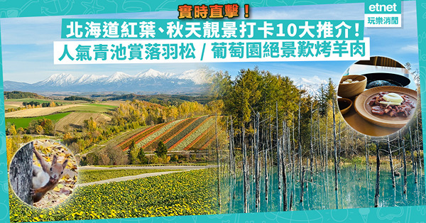 日本紅葉2023 | 北海道秋天靚景打卡10大推介！實時直擊超人氣青池賞落羽松、葡萄園絕景歎烤羊肉、一次過睇雪山紅葉
