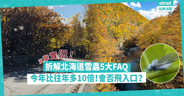 北海道雪蟲｜直擊有片日本滿天飛蟲實況！今年比往年多10倍！即睇雪蟲5大FAQ︰點解今年咁多？會否飛入口？