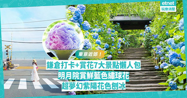 鎌倉一日遊懶人包｜紫陽花提早5月盛開！明月院賞少見鮮藍色繡球花、吃夢幻紫陽花色刨冰！入樽迷去這地方朝聖