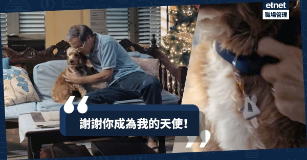 【祝我聖誕快樂】在街頭撿到「天使」，但牠卻要在佳節前離開？