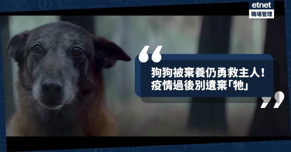 【寵物廣告】狗狗被棄養仍勇救主人！疫情過後你忍心遺棄家裏的牠？