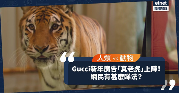 Gucci新年廣告「真老虎」上陣？網民批做法不妥、危險！人類與動物該如何取捨？