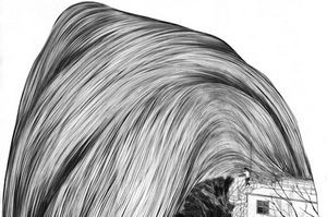 《上面有樹木》 