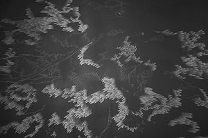 《漆黑中的影子》蔡艾芳與楊沛鏗聯展