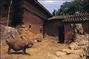 中國應該是甚麼顏色？